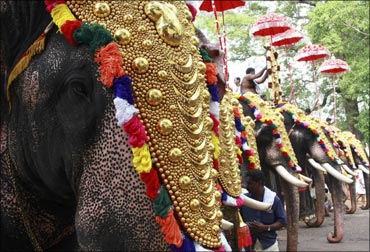 Caparisoned elephants participate in the Trichur Pooram festival at Trichur.