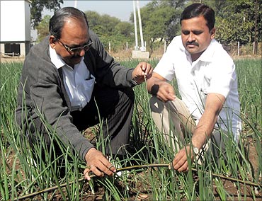Hemchandra Patil in his farm, being guided by an agronomist.