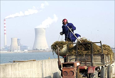 A worker collects dried grass near a power plant in Hefei, Anhui province.