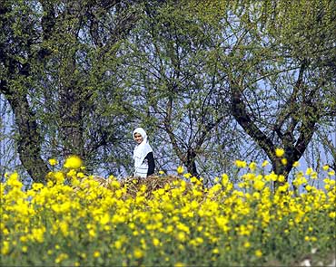 A girl walks along mustard fields in Jammu.