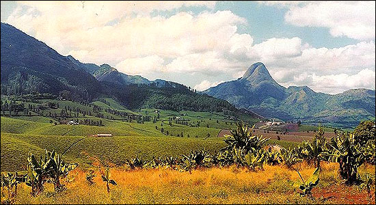 Mount Murresse and tea plantations near Gurue, Zambezia Province, northern Mozambique.