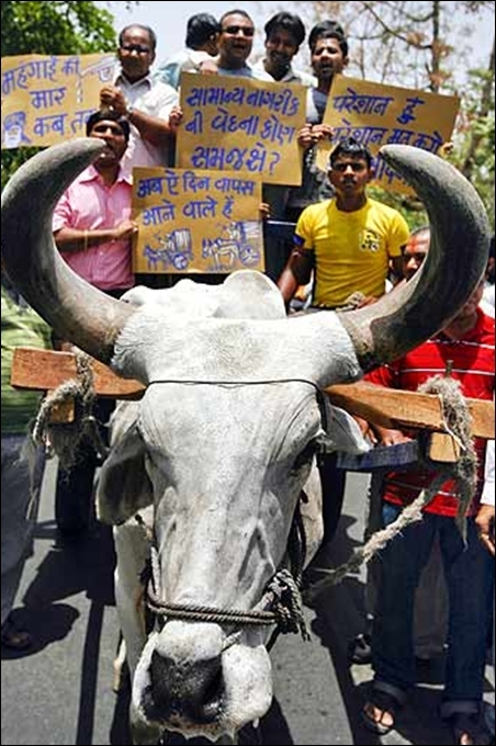A protest rally against petro price hike.