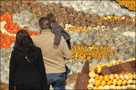 Visitors look at pumpkins arranged in an exhibit.