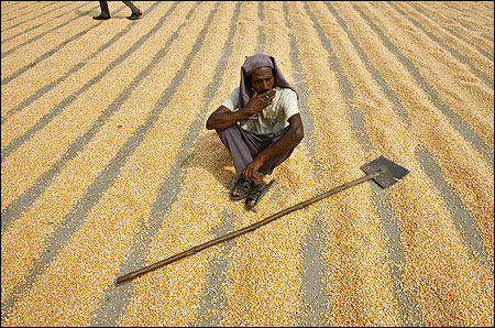 A labourer smokes while taking a break from spreading maize crop to dry.