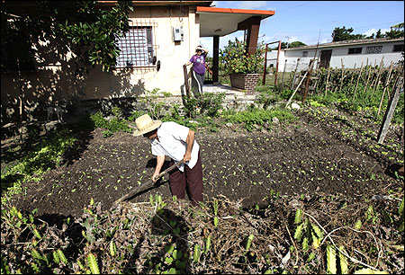 A man works in his yard in Sagua La Grande, east of Havana.