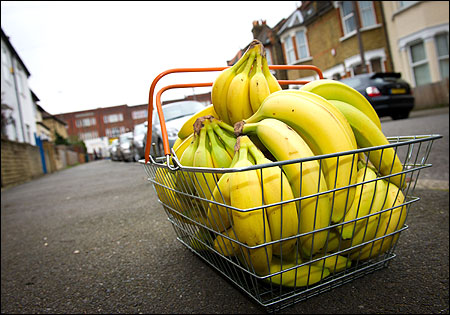 Fairtrade bananas are diaplyed.