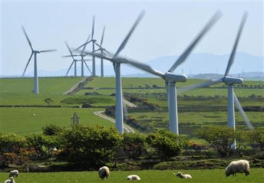 Sterling & Wilson Renewable Energy Loss Narrows in Q3