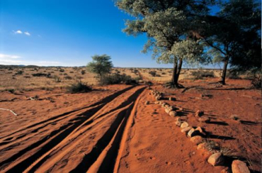 The reserve is in Kalahari Desert.