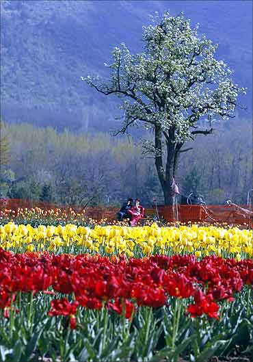 A couple rests on a bench inside Kashmir's tulip garden.