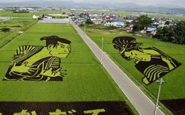 Japan produces 105 million metric tonnes of rice.