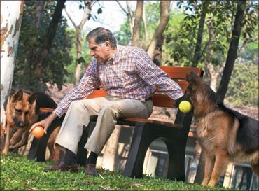Ratan Tata with his pet dogs.