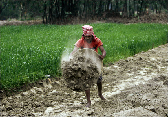 A labourer works under the NREGA to build a dirt road.