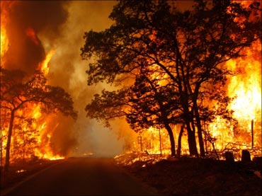 Why the situation in Europe is like a forest fire!