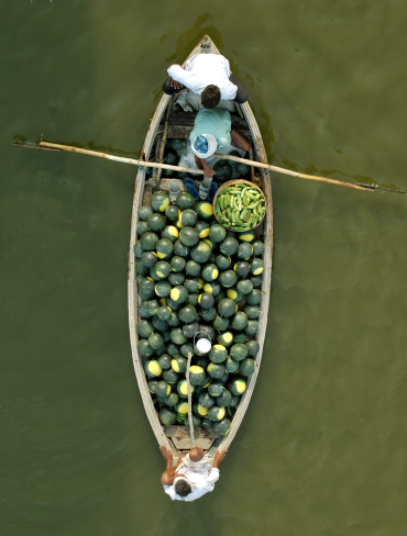 Farmers carry watermelons across Ganga in Allahabad,