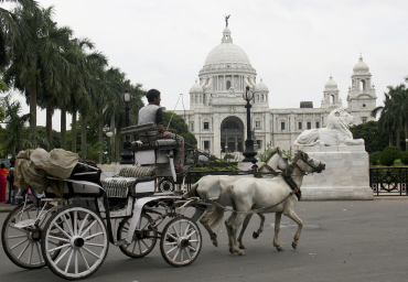 A horse-cart passes in front of the Queen Victoria Memorial in Kolkata.