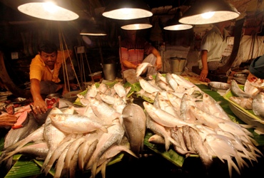 Vendors work at a wholesale fish market in Kolkata.