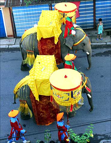Two elephants walk on the street to Nam Giao Esplanade, a sacred place in Vietnam's central city of Hue.