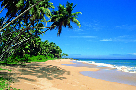 A beach in Sri Lanka.