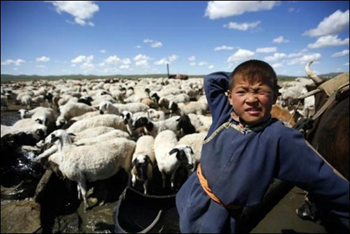 A tour across the magical land of Mongolia