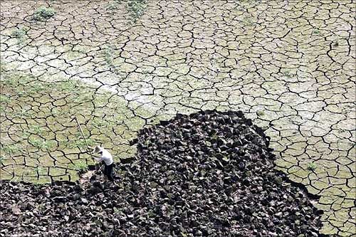 As water becomes scarce, droughts ravage the world