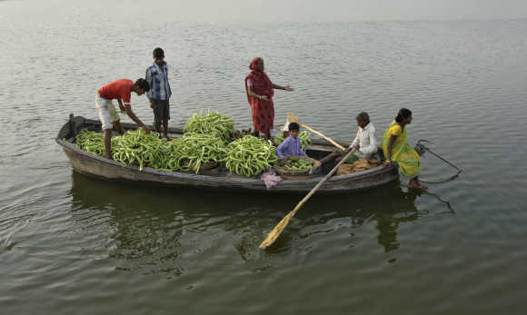 Farmers transport cucumbers on a boat through the waters of river Ganges to sell at a market in Allahabad.