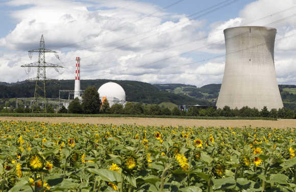 Sunflowers grow on a field in front of the nuclear power plant near the northern Swiss town Leibstadt.