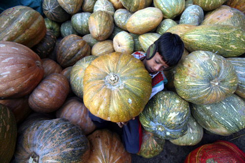 A boy carries a pumpkin at a wholesale vegetable market in Chandigarh.