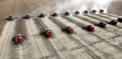 Workers harvest soybeans in a farm in the city of Tangara da Serra in Cuiaba.