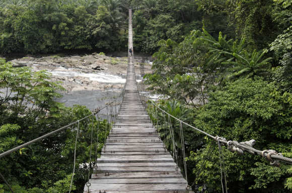 A view of a hanging bridge leading into Cameroon's Korup National Park.