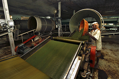 An employee works inside a tea producing factory at the Amchong tea estate in Assam.