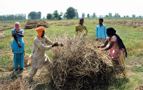 Drought spoilt farm sector's dream run in 2012