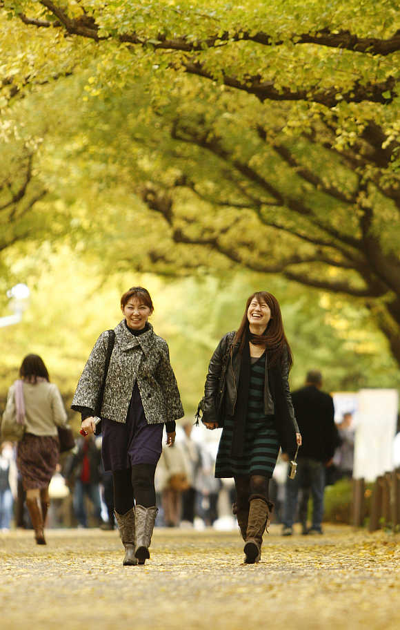 Women walk under ginkgo trees in Tokyo.