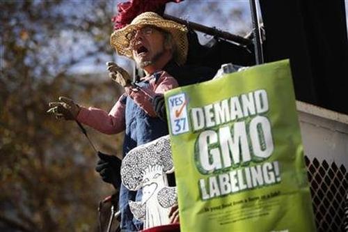 Activists demanding labelling of GM crops