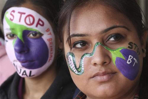 Students protesting against Bt brinjal in Chandigarh.