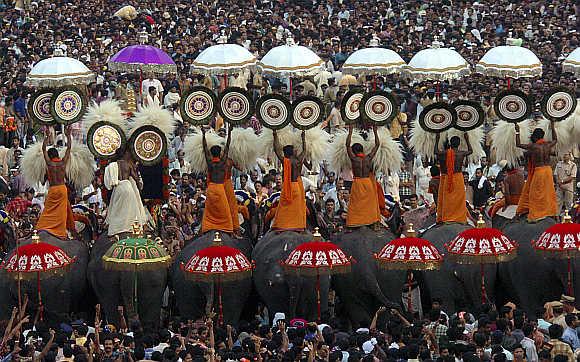 A procession of decorated elephants during the Pooram festival in Trichur, Kerala