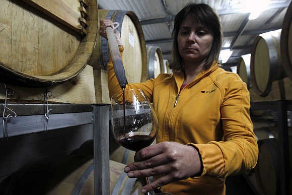 Iva, a wine expert from Bulgaria, checks wine in a cellar at Zumot winery in the outskirts of Amman, Jordan.