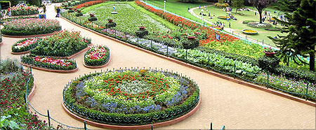 Botanical garden, Ooty.