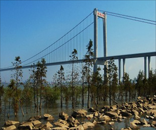Huangpu Bridge.