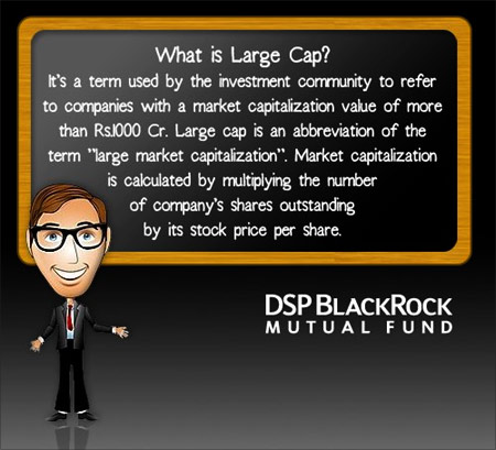 DSP BlackRock Mutual Fund.