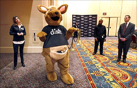 A kangaroo character poses at the Dish news conference.