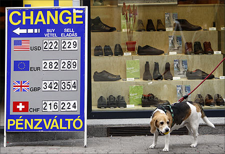 A dog passes a currency exchange rate chart at a money changer in Budapest.