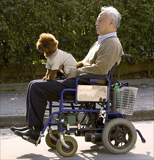 An elderly man drives a wheelchair with his pet dog near a park in Shanghai.