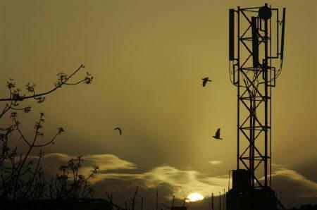 Govt gets only Rs 1,707 cr from 2G spectrum auction