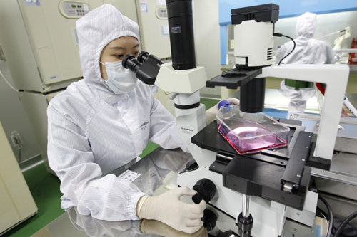 A researcher uses a microscope during a photo call at an aseptic room of the FCB-Pharmicell laboratory in Seongnam, near Seoul.