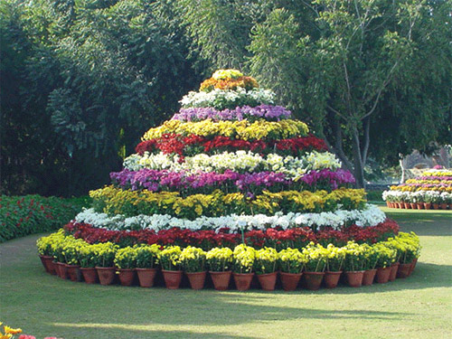A garden in Chandigarh.