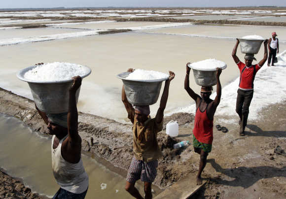Workers carry salt to load it in a supply truck at a salt pan.