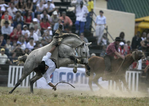 A gaucho is unseated by an untamed horse during the celebration of the 'Criolla' week in Montevideo.