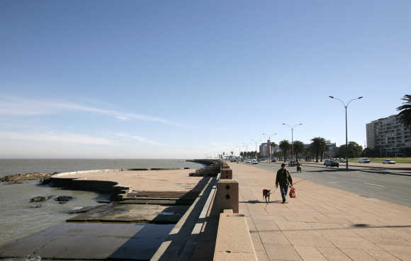A resident walks his dog by the waterfront on a sunny winter day in Montevideo.
