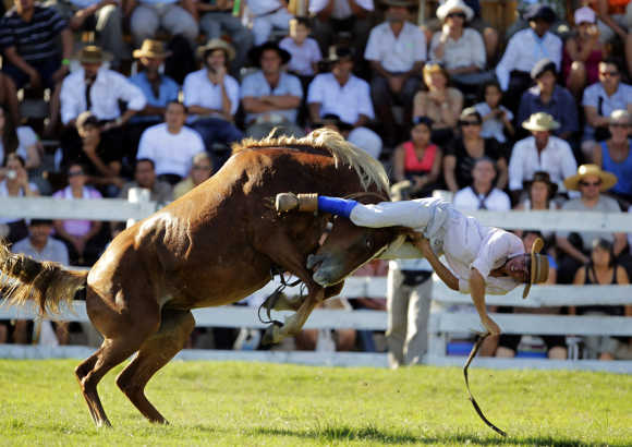 A gaucho is thrown off an untamed horse during the Patria Gaucha Festival in Tacuarembo, 400km north of Montevideo.