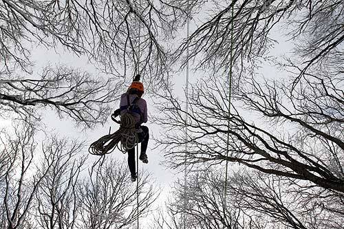 A participant climbs on a rope during a regional tourism competition among school students in a forest in Russia's southern city of Stavropol.